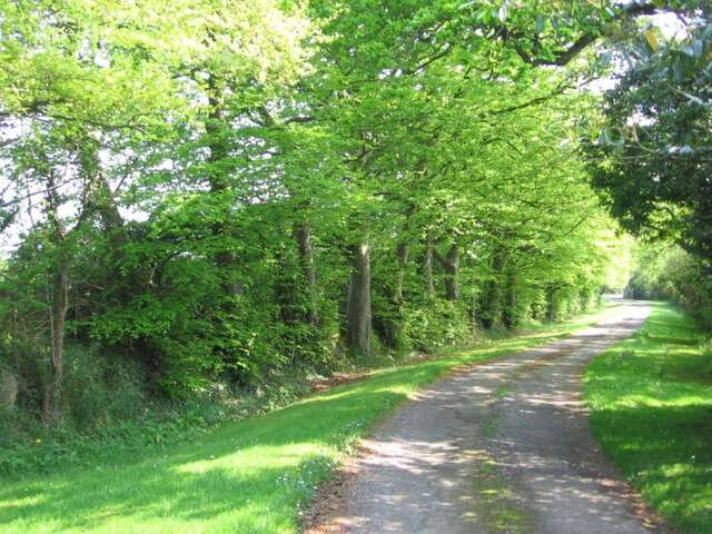 Отели типа «постель и завтрак» Ballinclea House Bed and Breakfast Brittas Bay-12
